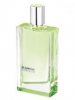 JIL SANDER Evergreen EDT - 50ml