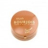 BOURJOIS Blush ( 10 Chataigne Doree ) - Tvářenka pro dokonalé nalíčení - 2.5g